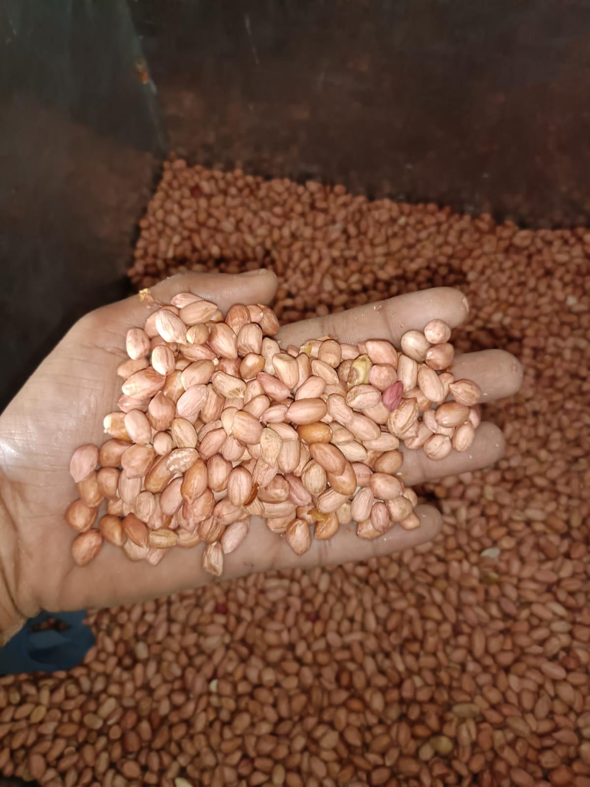 Indian Peanuts