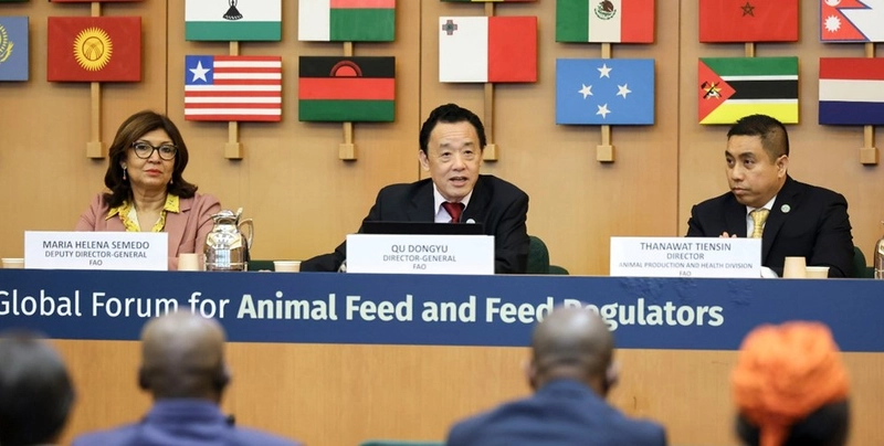 Why Attend Global forum for animal feed and feed regulators? B2B Intro - 2