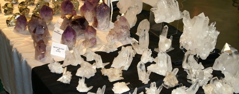 Inside BERNER FOSSILIEN- UND MINERALIENBÖRSE: B2B Key Insights - 1