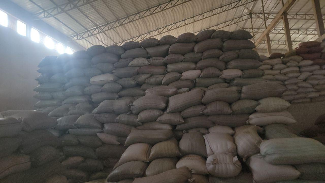Ethiopian Kidney Beans Export
