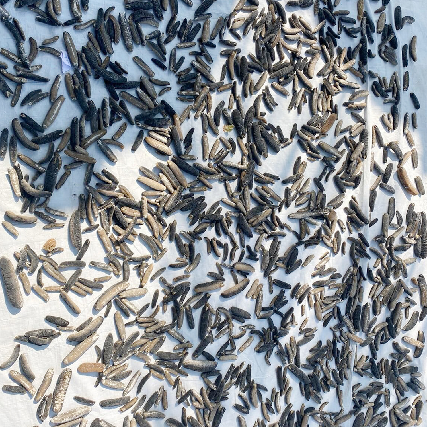 34640ef398ba46bdbbbdb9f6be85502f