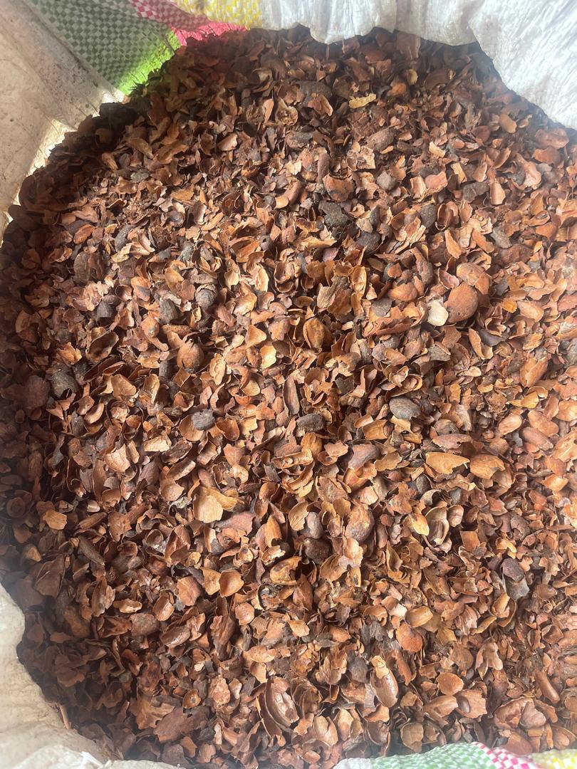 Cocoa Shells