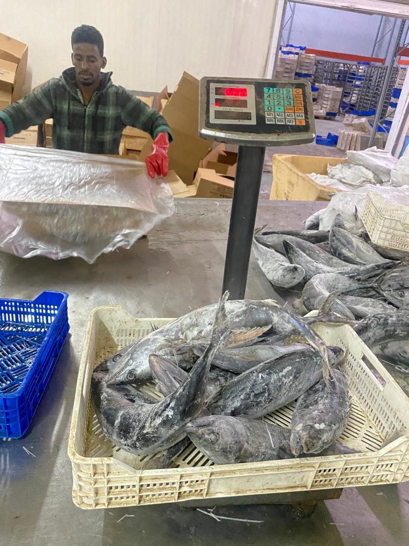 ASMAK Fish Product 3