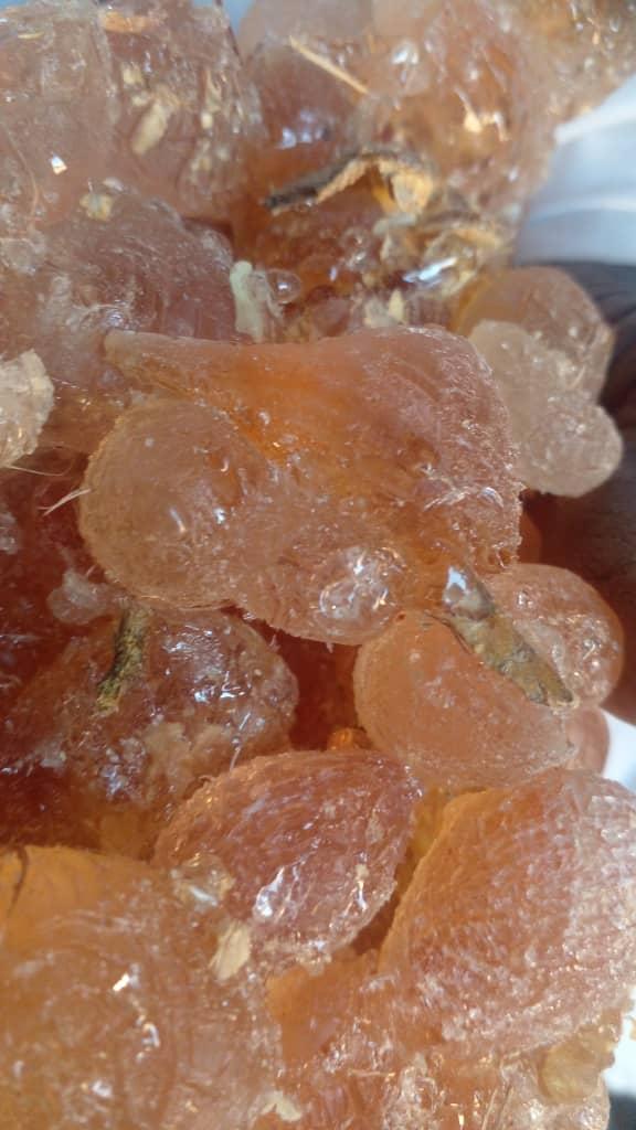 GUM ARABIC