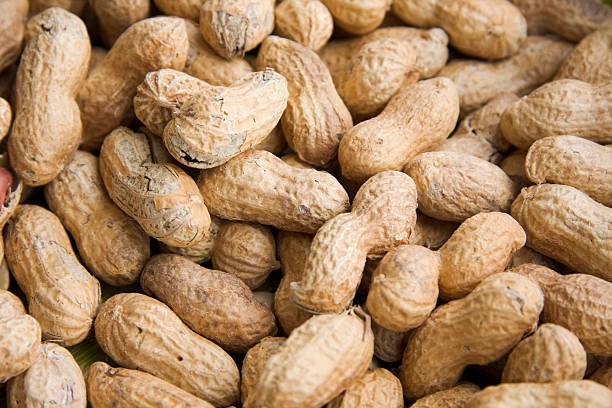 Your Expert Guide to Procuring Top-Tier Peanuts: Top 10 Peanuts Suppliers in Egypt in August 2025