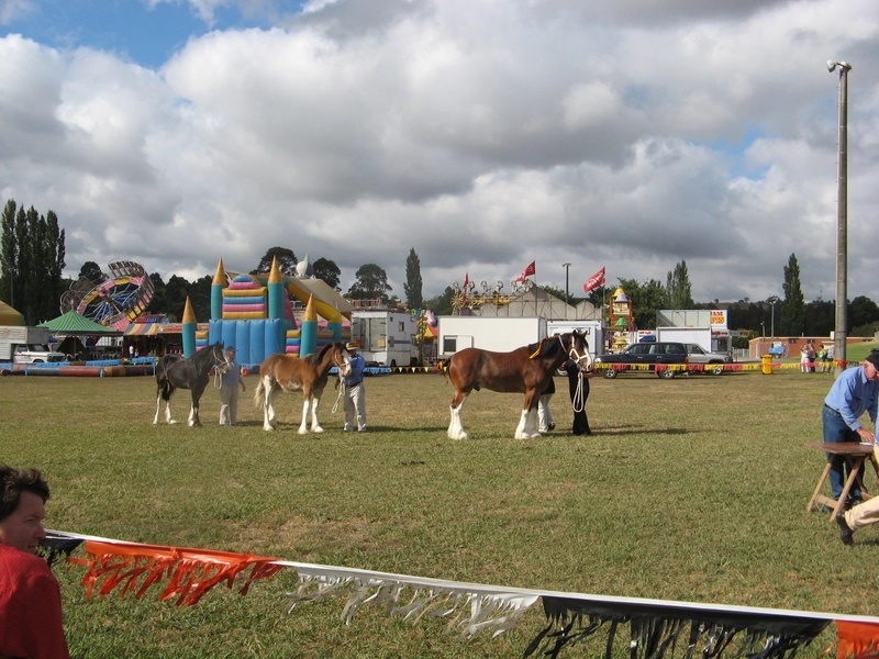 Warragul Show Spotlight: B2B Essentials - 2