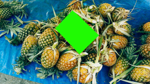 Top 7 Pineapple Suppliers in Spain in July 2025: Market Insights, Verified Sources & Strategic Updates