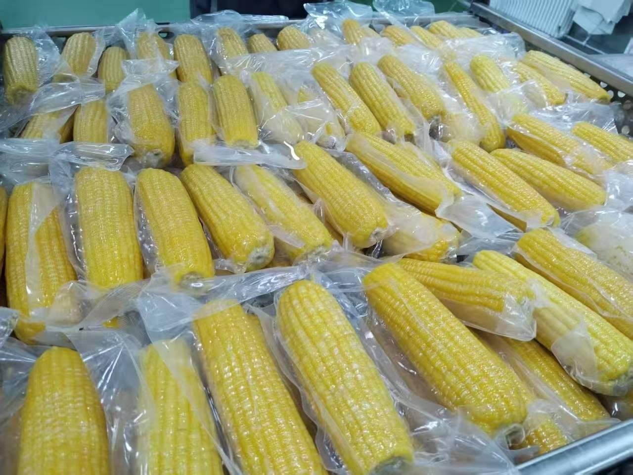 Boiled Corn on Cob