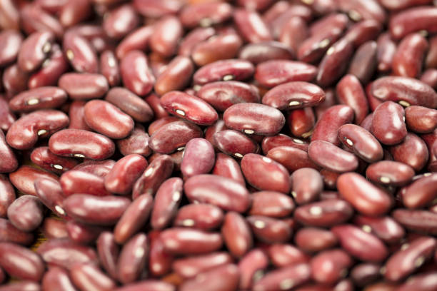 A Comprehensive Guide to Sourcing High-Quality Kidney Beans: Top 6 Kidney Beans Suppliers in Philippines in July 2025