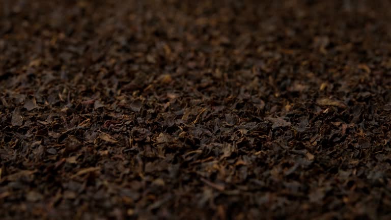 Your Expert Guide to Procuring Top-Tier Black Tea: Top 3 Black Tea Suppliers in Ukraine in Year 2025