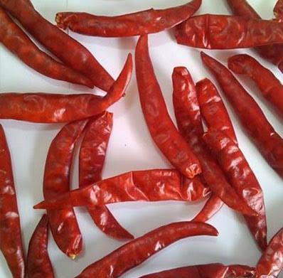 Red Dry Chilly Teja from Guntur, India