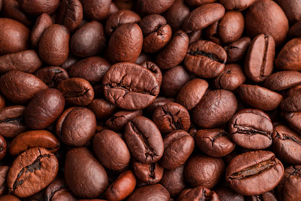 Your Expert Guide to Procuring Top-Tier Coffee Bean: Top 4 Coffee Bean Suppliers in China in Week 13 of 2025