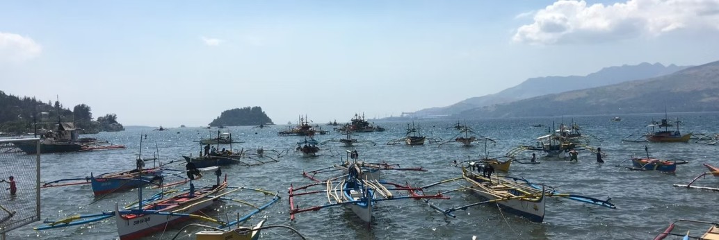 Puchipal Ltd – Japan’s Premium Frozen Seafood Exporter with 20+ Years of Global Trust