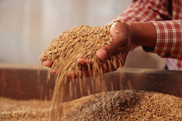 A Comprehensive Guide to Sourcing High-Quality Grain: Top 5 Grain Suppliers in France in 2025