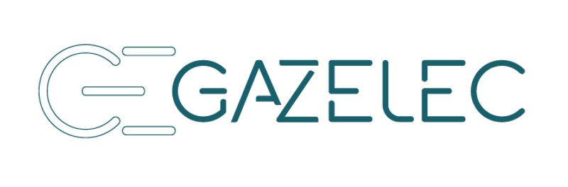 Inside GAZELEC Congress: B2B Key Insights