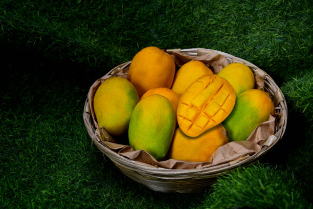Your Expert Guide to Procuring Top-Tier Mango: Top 4 Mango Suppliers in France in August 2025