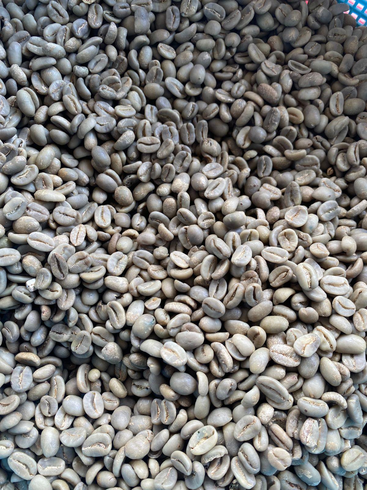 Coffee beans in basket