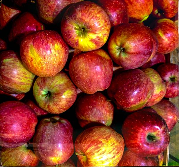 Top 7 Apple Suppliers in Indonesia in Quarter 3 of 2025