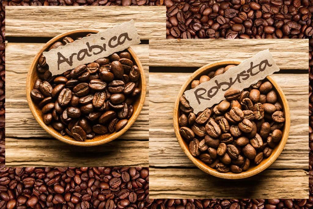 Premium Kenyan Arabica & Robusta Coffee Beans for International Export High-Quality Arabica and Robusta Coffee Beans Sourced from Kenya for Export Export-Grade Kenyan Arabica & Robusta Green Coffee Beans Authentic Kenyan Arabica and Robusta Coffee Beans for Global Markets Freshly Sourced Arabica & Robusta Coffee Beans from Kenya – Export Quality