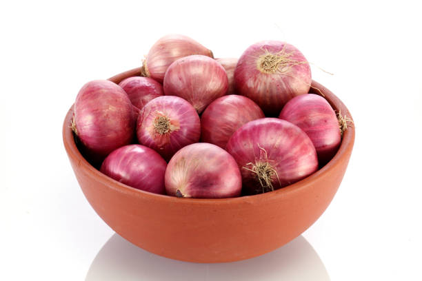 Your Expert Guide to Procuring Top-Tier Onion: Top 8 Onion Suppliers in Germany in Week 16 of 2025