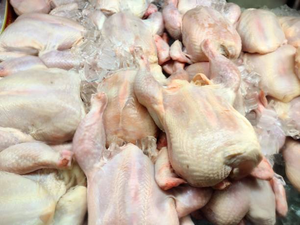 Top 3 Frozen Chicken Suppliers in Turkey in Quarter 2 of 2025