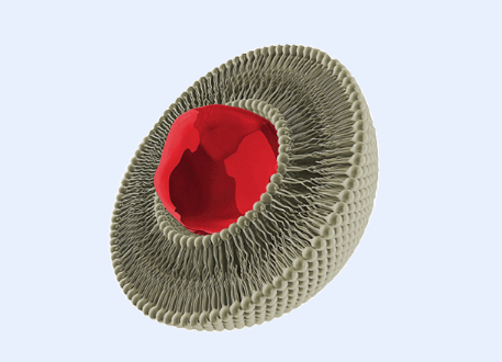 Liposomal Iron Product