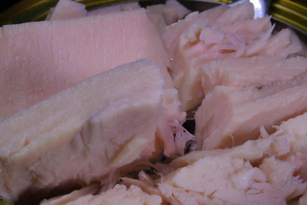 A Comprehensive Guide to Sourcing High-Quality Tuna: Top 10 Tuna Suppliers in Thailand in August 2025