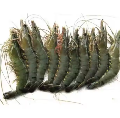 Dried Shrimp Weight (kg)