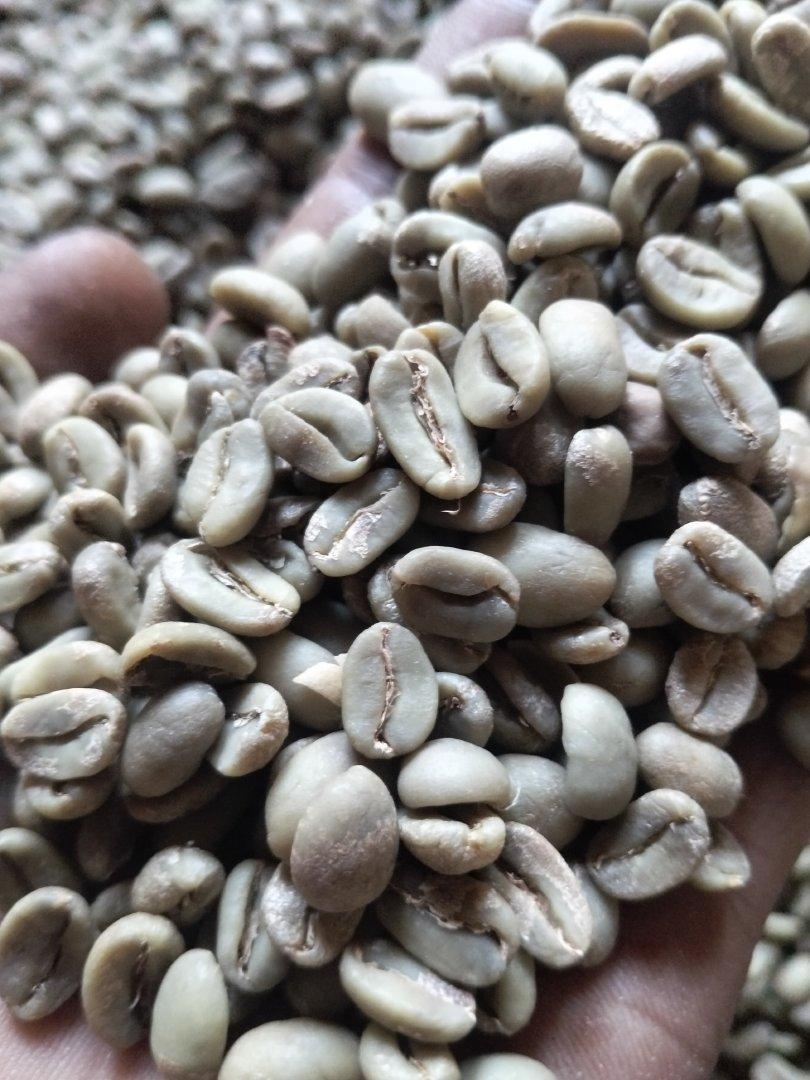 Coffee green Bean 