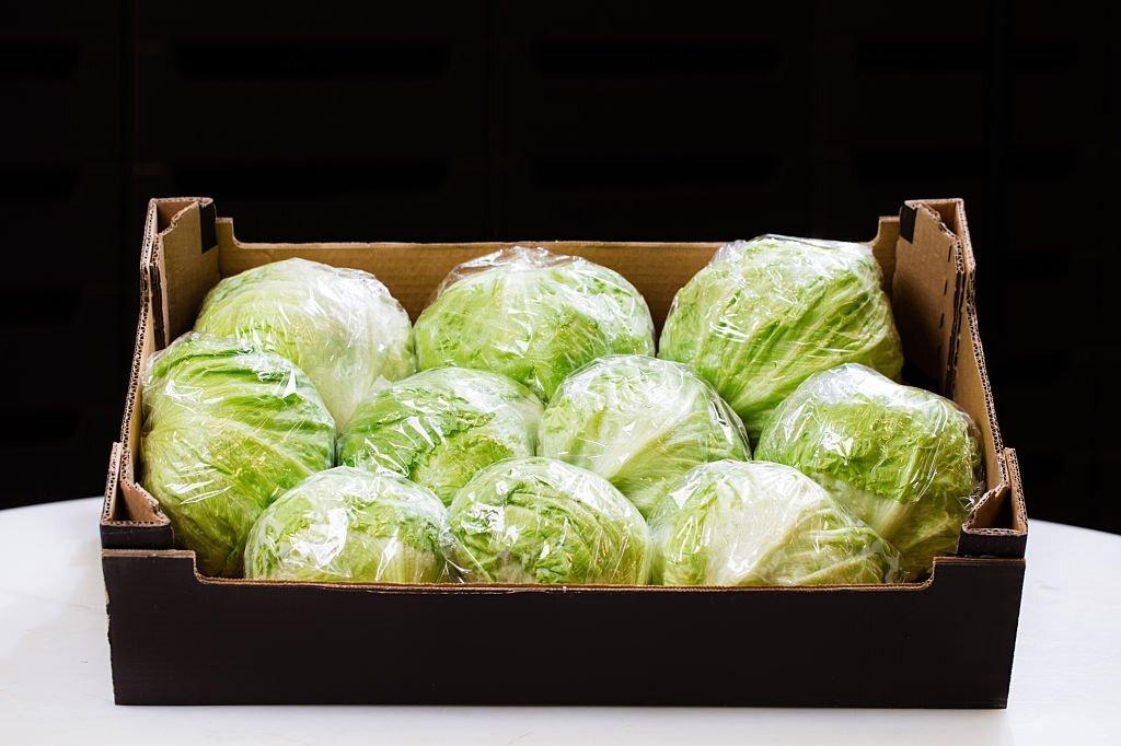 Iceberg Lettuce Head