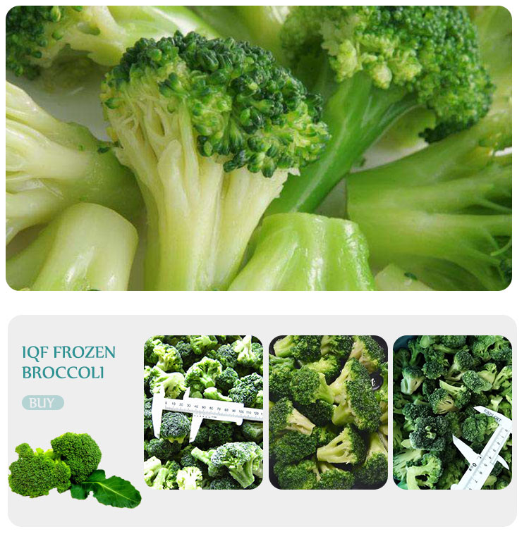 frozen broccoli IQF broccoli