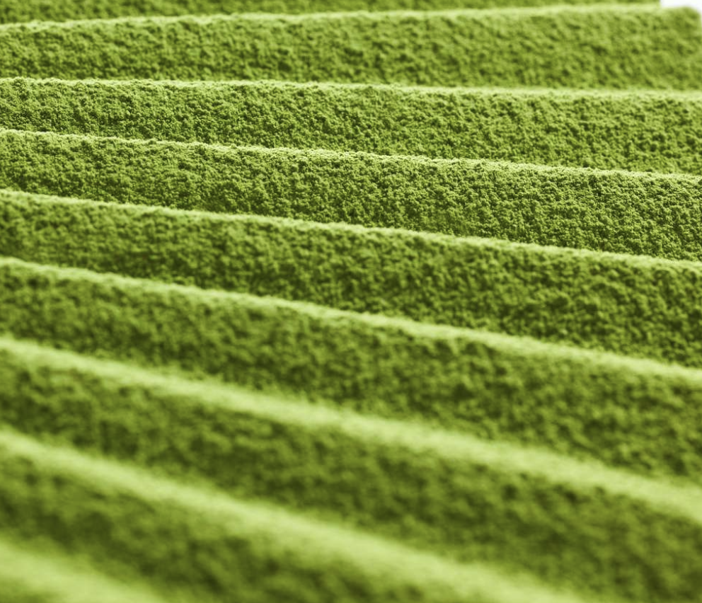 Matcha