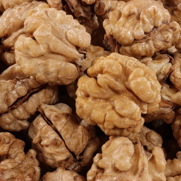 Premium Factory Wholesale Walnut With Shell and Without Shell Bulk Dried Walnut Available for Sale