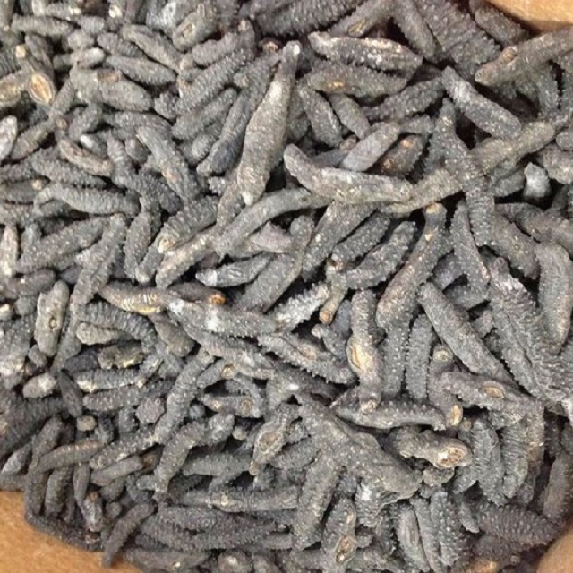 Best selling Dried Sea Cucumber for sale Sea Cucumber Dry Sea Cucumber
