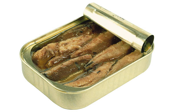 Top 7 Canned Fish Suppliers in Philippines in August 2025: Urgent Market Update & Buyer Insights