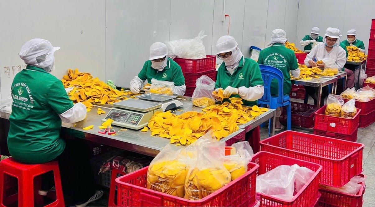 Le Gia Group Import Export Company Limited – Trusted Supplier of Dried Fruits & Agri-Exports from Vietnam on Freshdi!
