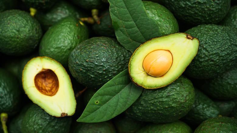 Fresh Avocado / Hass Avocado/Fuerte Avocado Fruit Grade AA Fat Content 26% Origin Thailand Texture Buttery Protein Content 2.1%