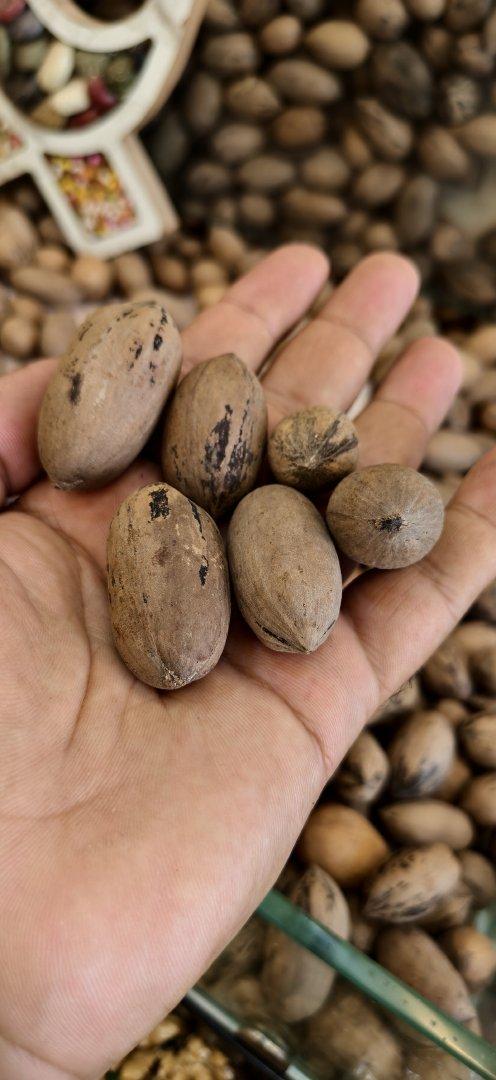Pecan Nut