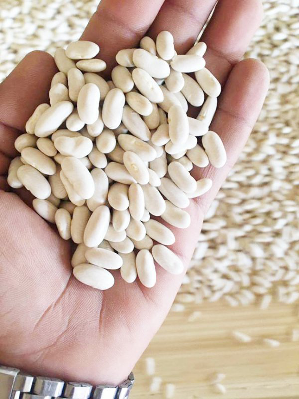 Premium Egyptian White Beans - Packaging