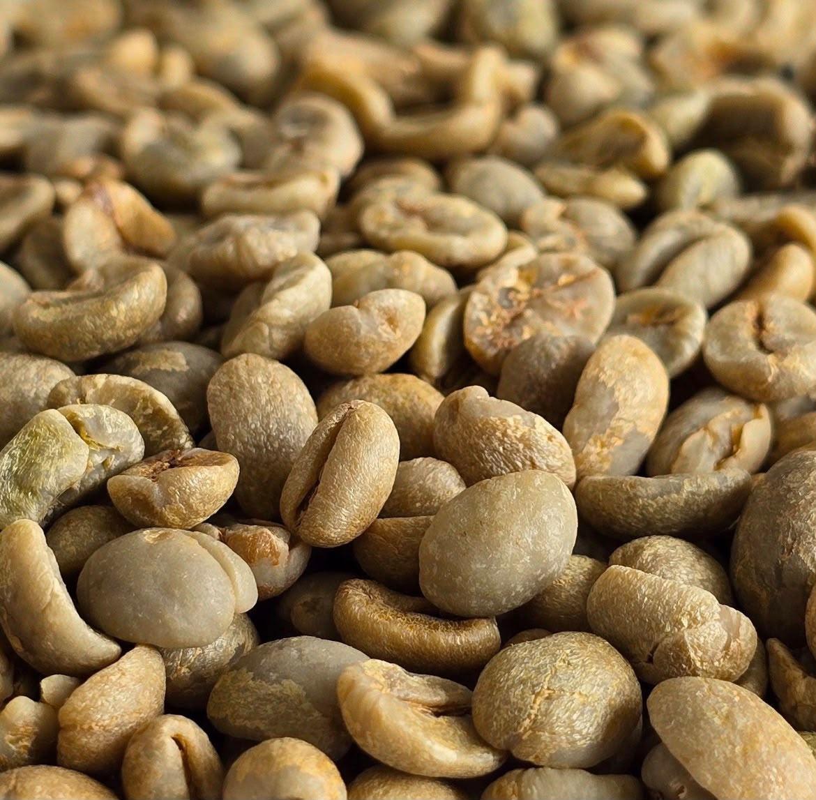 Brazilian Arabica Green Coffee Beans – FC Santos, 17/18 Screen