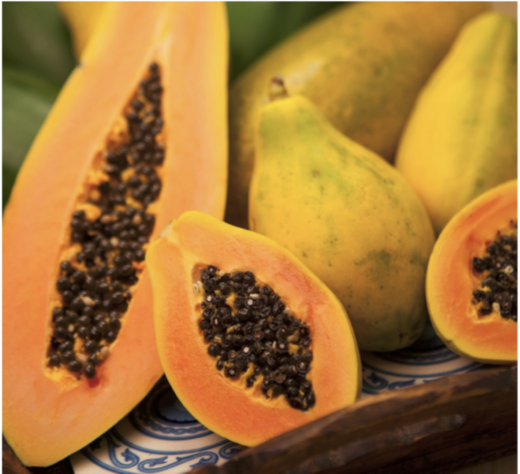 Papaya