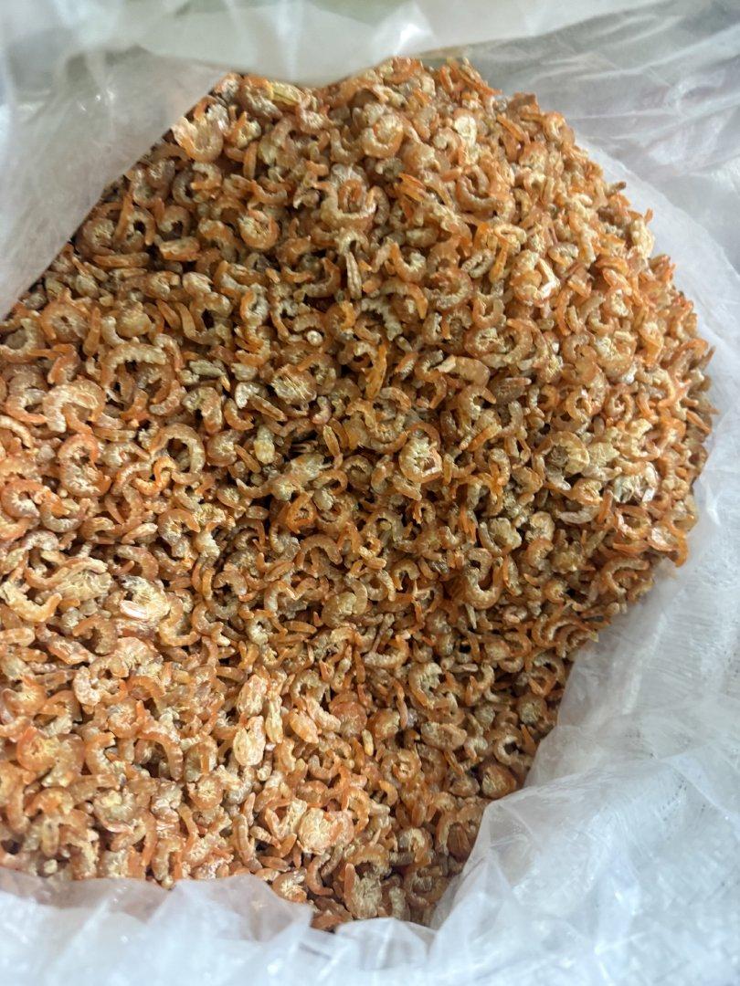 Dried Shrimp