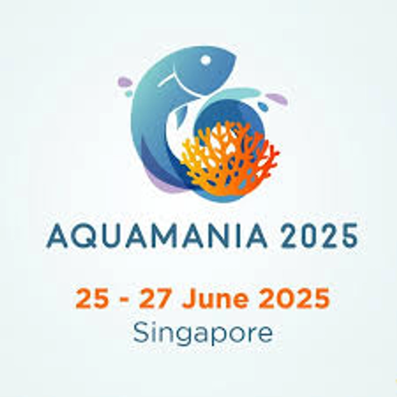 Inside Aquamania: B2B Key Insights