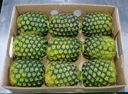 Queen Pineapple