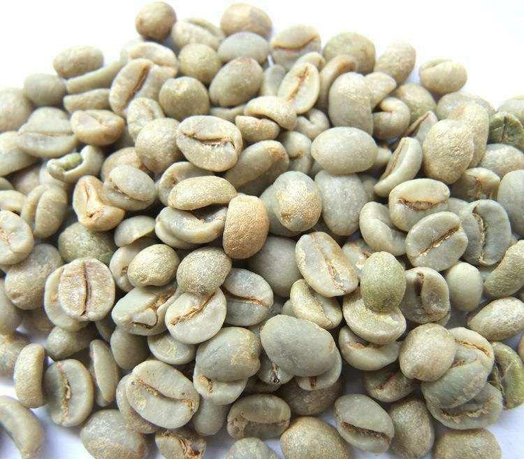 Arabica and Robusta coffee Beans Size 12, 14 16, 18 Weight (kg) 50-60KG Processing Type washed Packaging 50-60KG BAGS Grade Arabica and