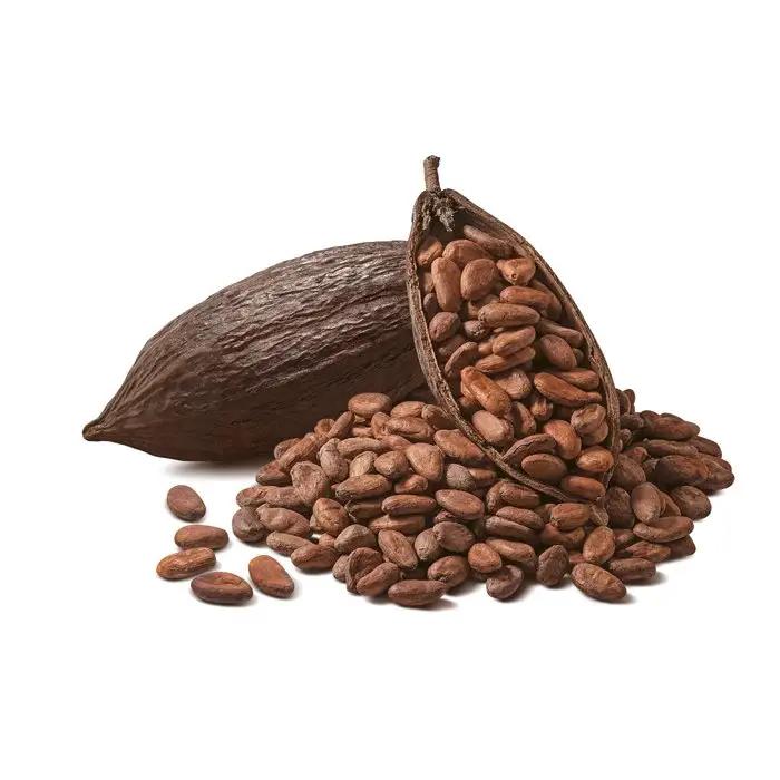 Wholesale Supplier Of Bulk Fresh Stock of Raw Dried Cocoa Beans