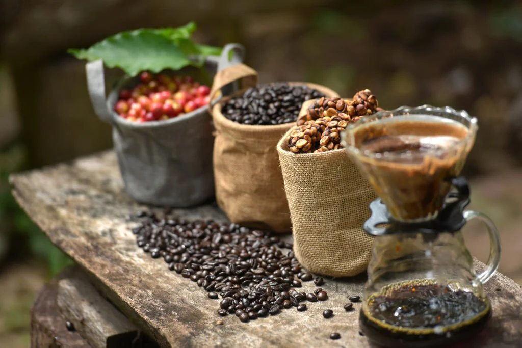 Global Organic Coffee Market: A Sustainable Opportunity for B2B Buyers (P1)