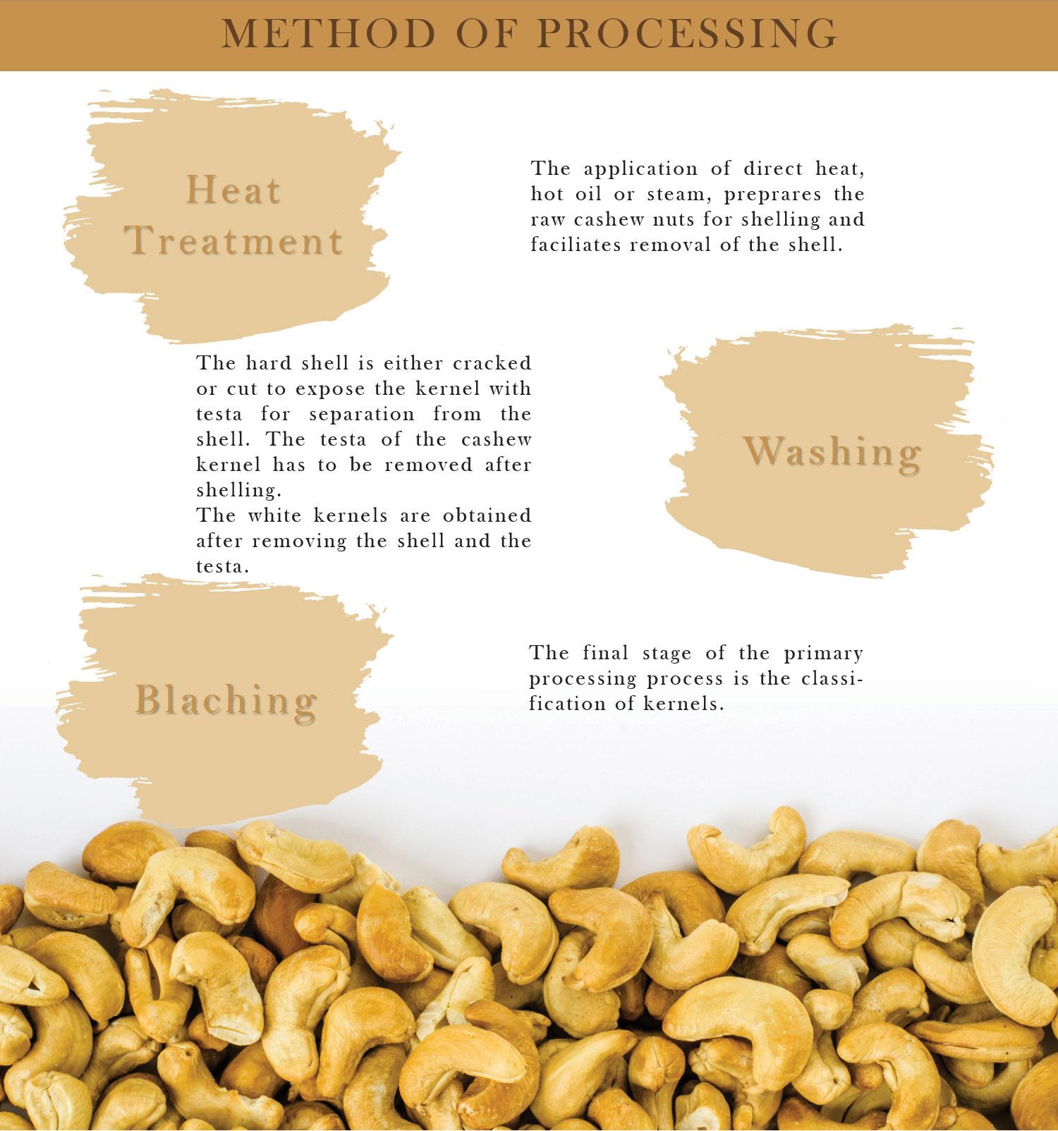 Kaju Nuts Kernels Raw Cashew Nuts W320 Snacks Cashew Nut W180