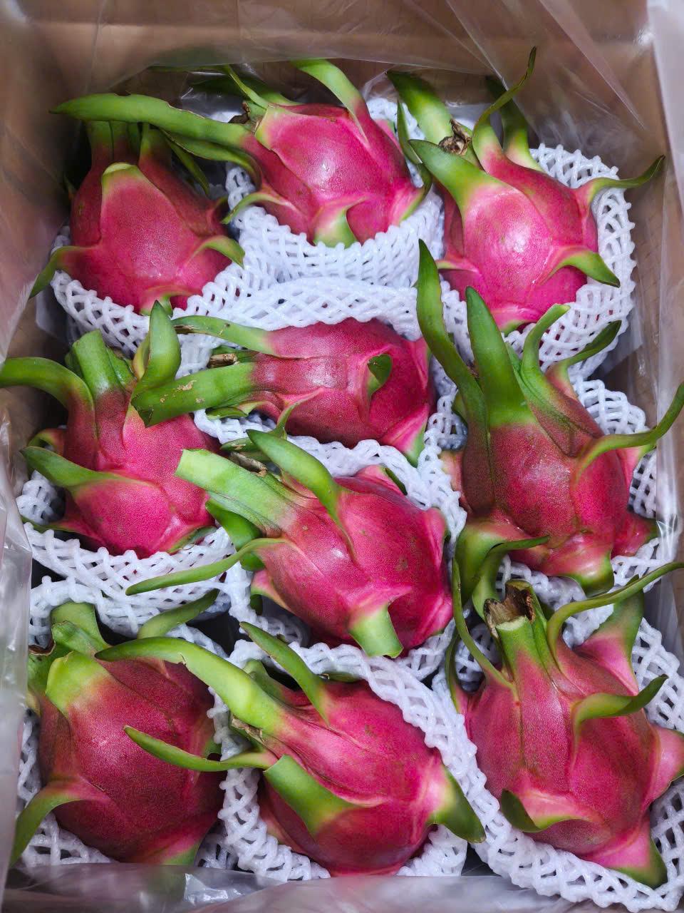 Meet the Top 5 Fresh Fruits suppliers in Vietnam - 2