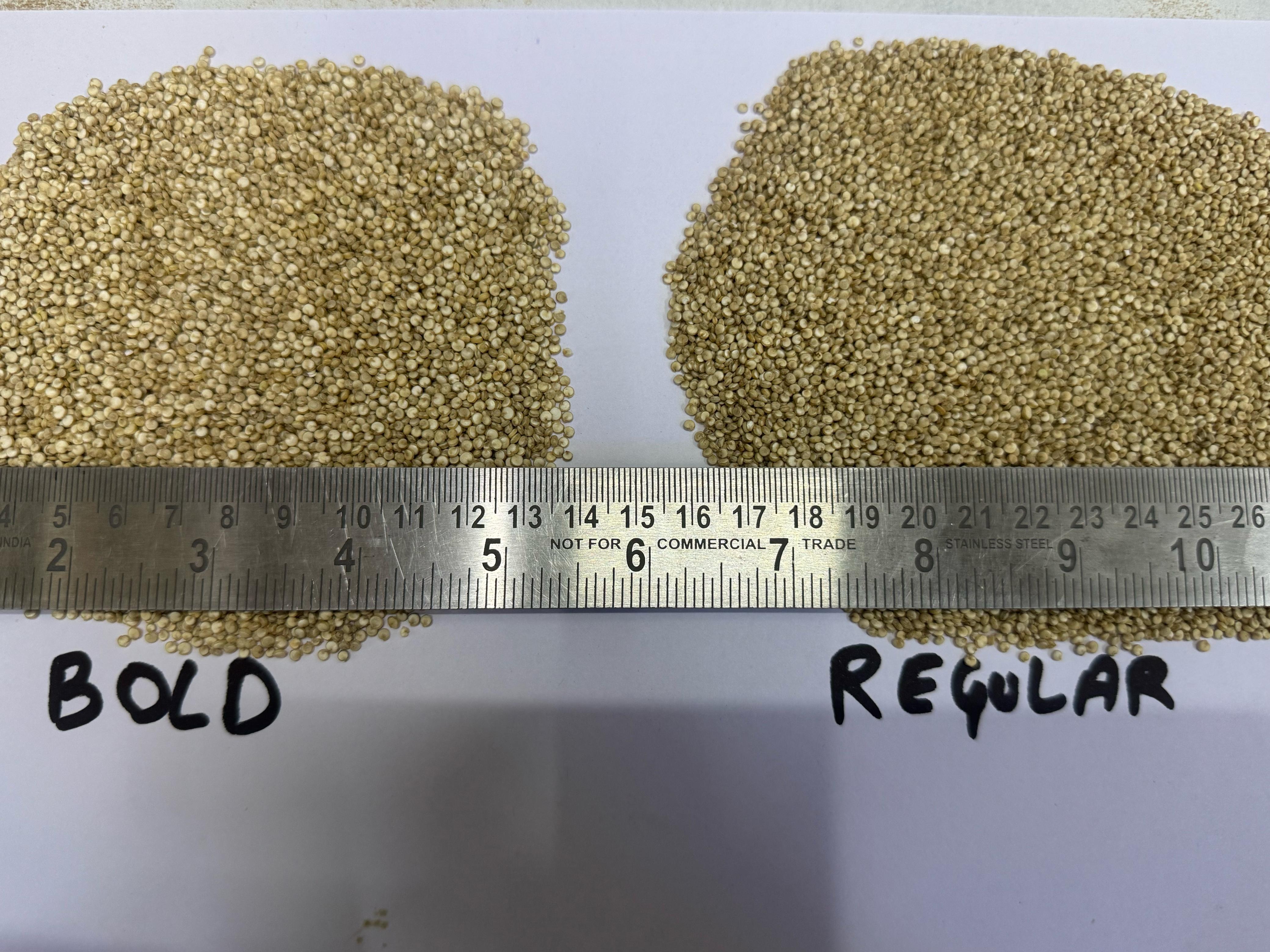 Quinoa Field